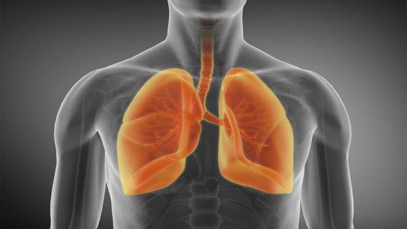 Black Patients Fare Worse With Deadly Lung Disease Pulmonary Fibrosis