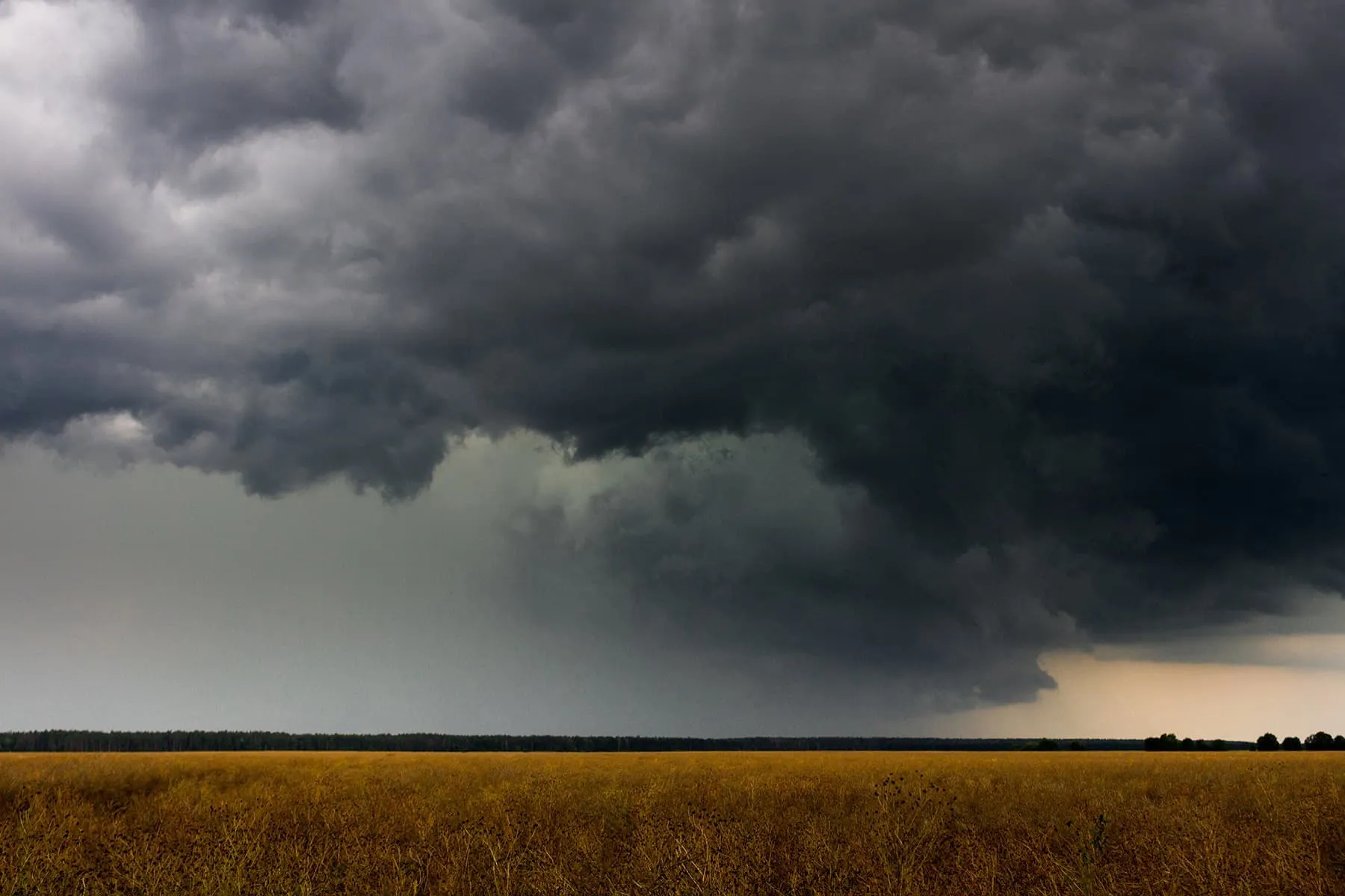 Devastating Tornadoes Leave Hazards in Their Wake: Tips to Stay Safe