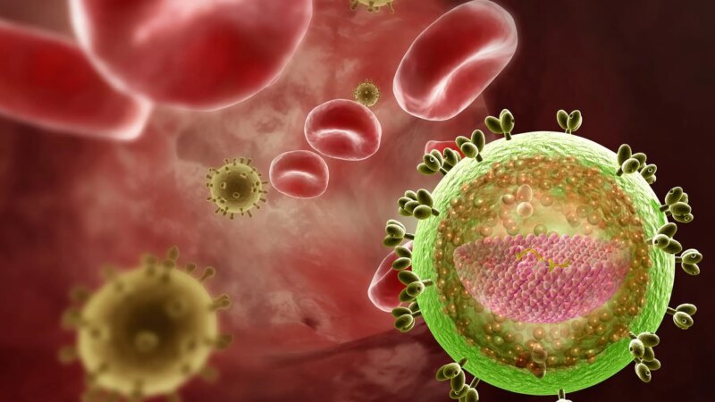 Scientists Get Closer to Understanding ‘Hidden’ HIV