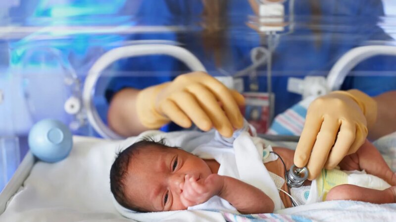 Dangerous Infections in ‘Preemie’ Babies May Begin in the Gut