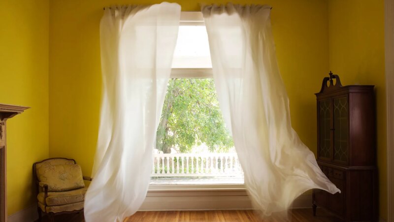 Improve Your Indoor Air Quality With These Tips