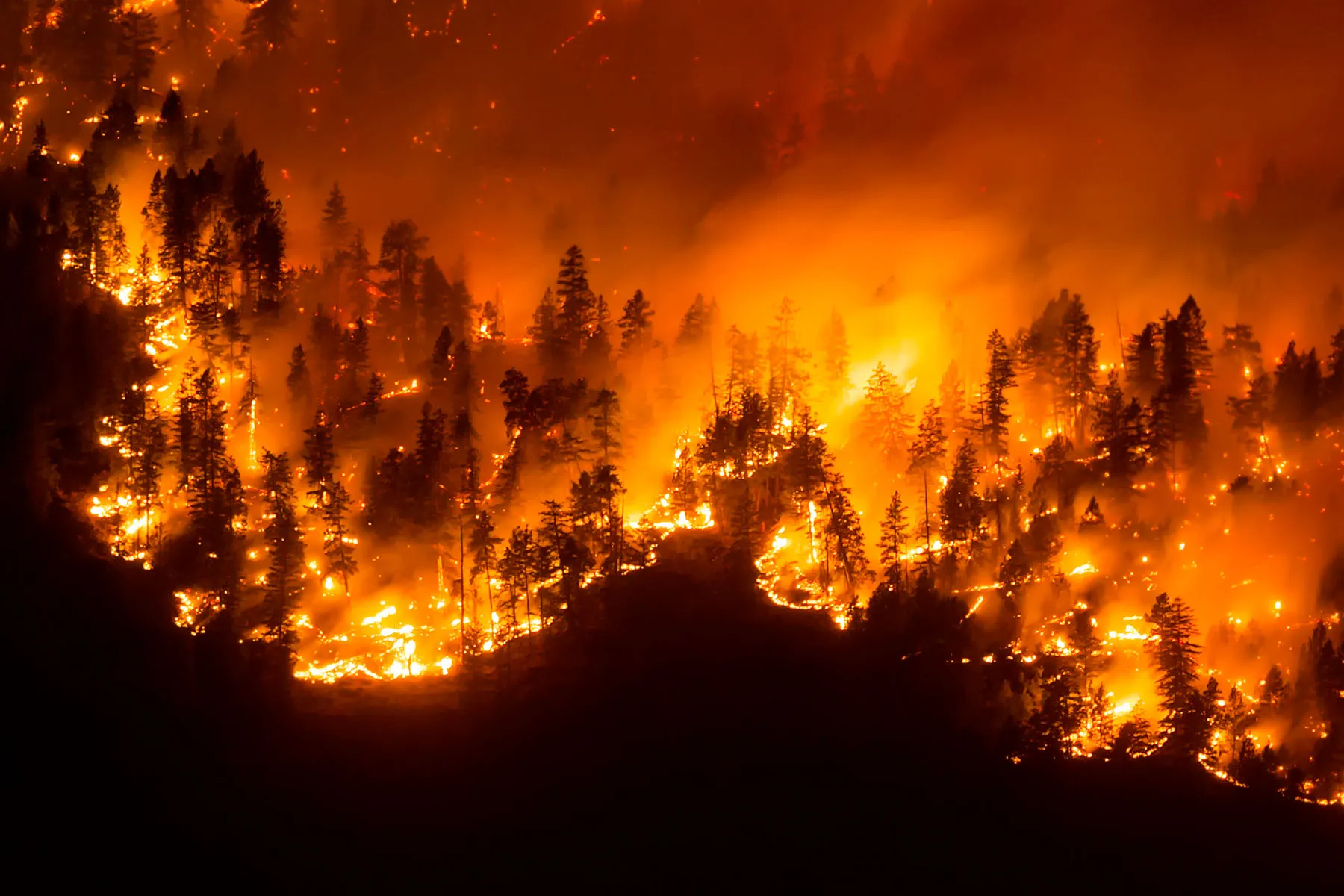 Experts Warn of Heart Dangers From Smoke of Canadian Wildfires