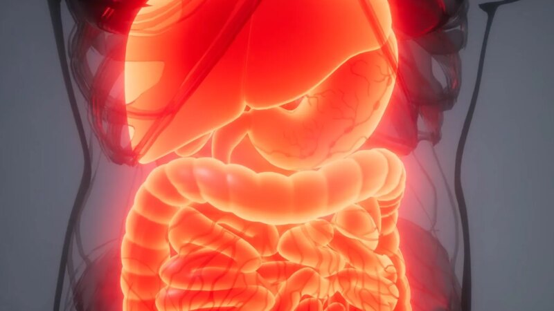 More Than 2 Million in U.S. Have Inflammatory Bowel Disease