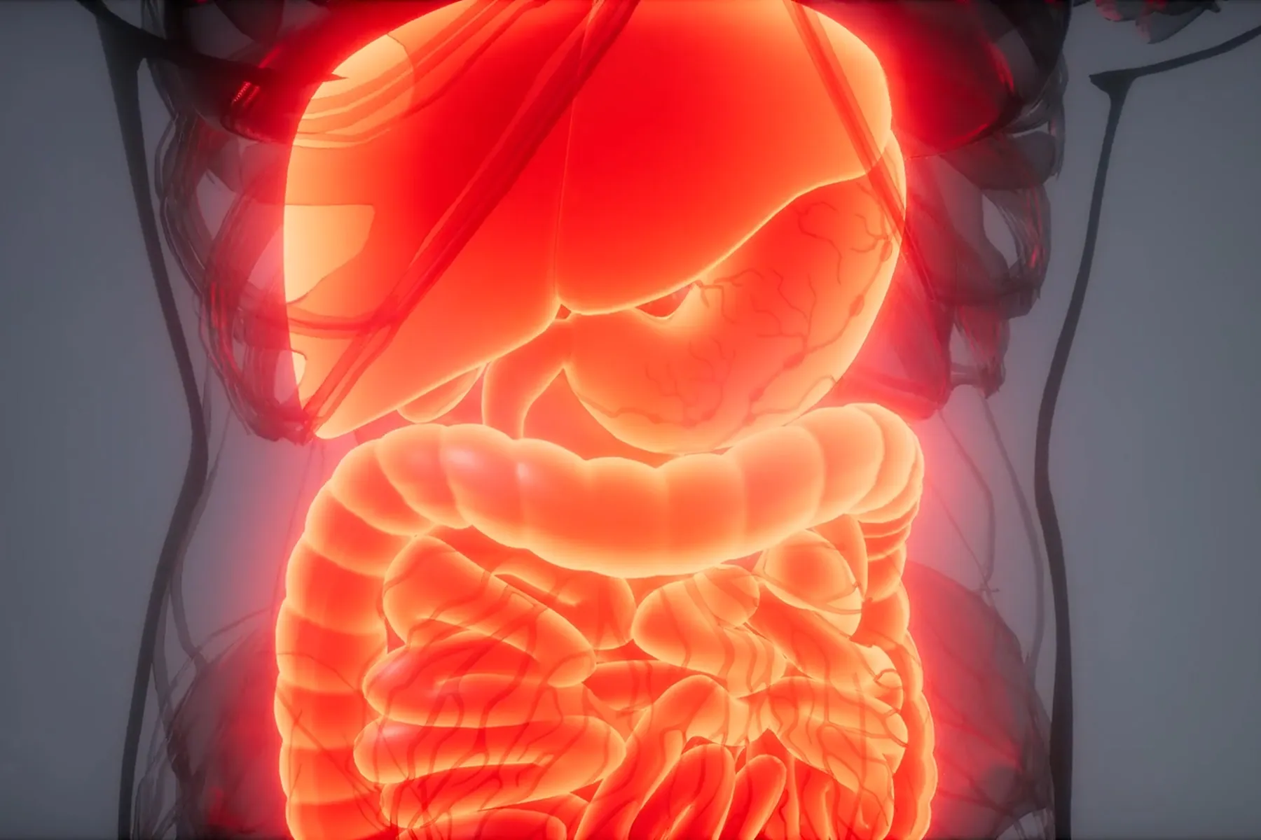 More Than 2 Million in U.S. Have Inflammatory Bowel Disease