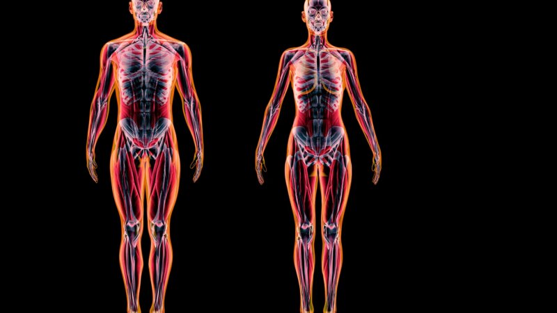 How Crohn’s Disease Affects Your Body