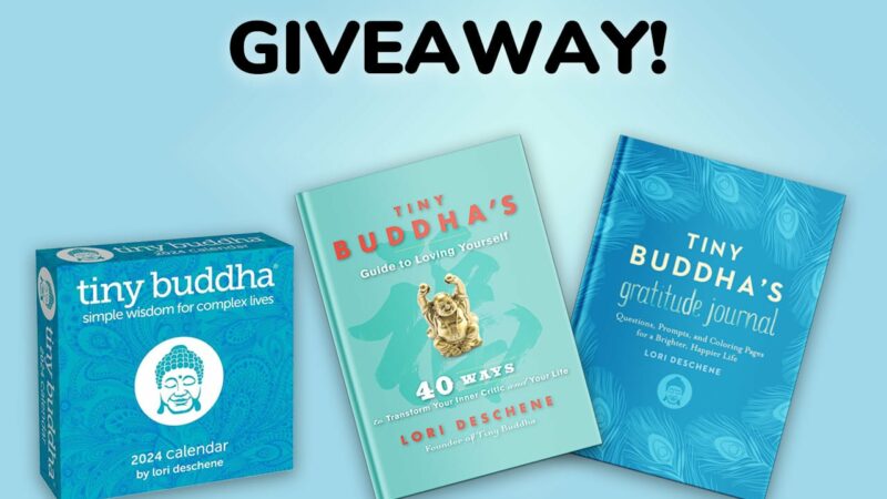 Giveaway: Win a 2024 Day-to-Day Calendar, Gratitude Journal, and More!