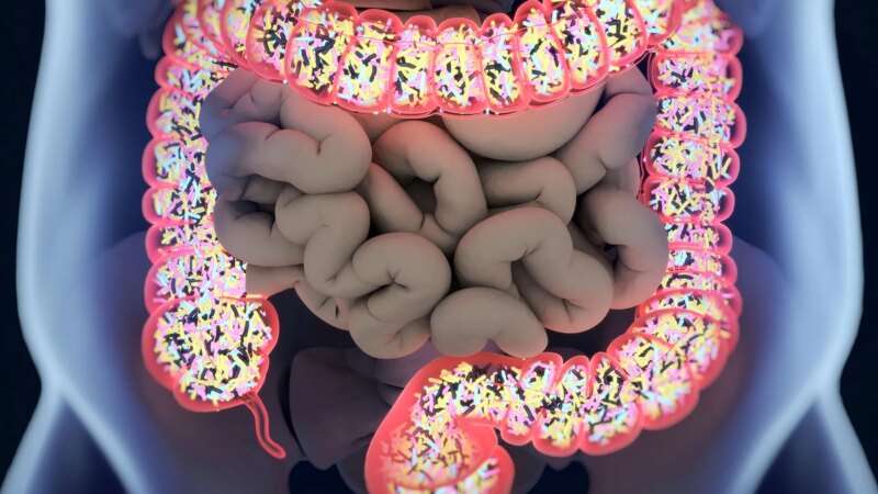 Focusing on Gut Health Can Aid Weight Loss