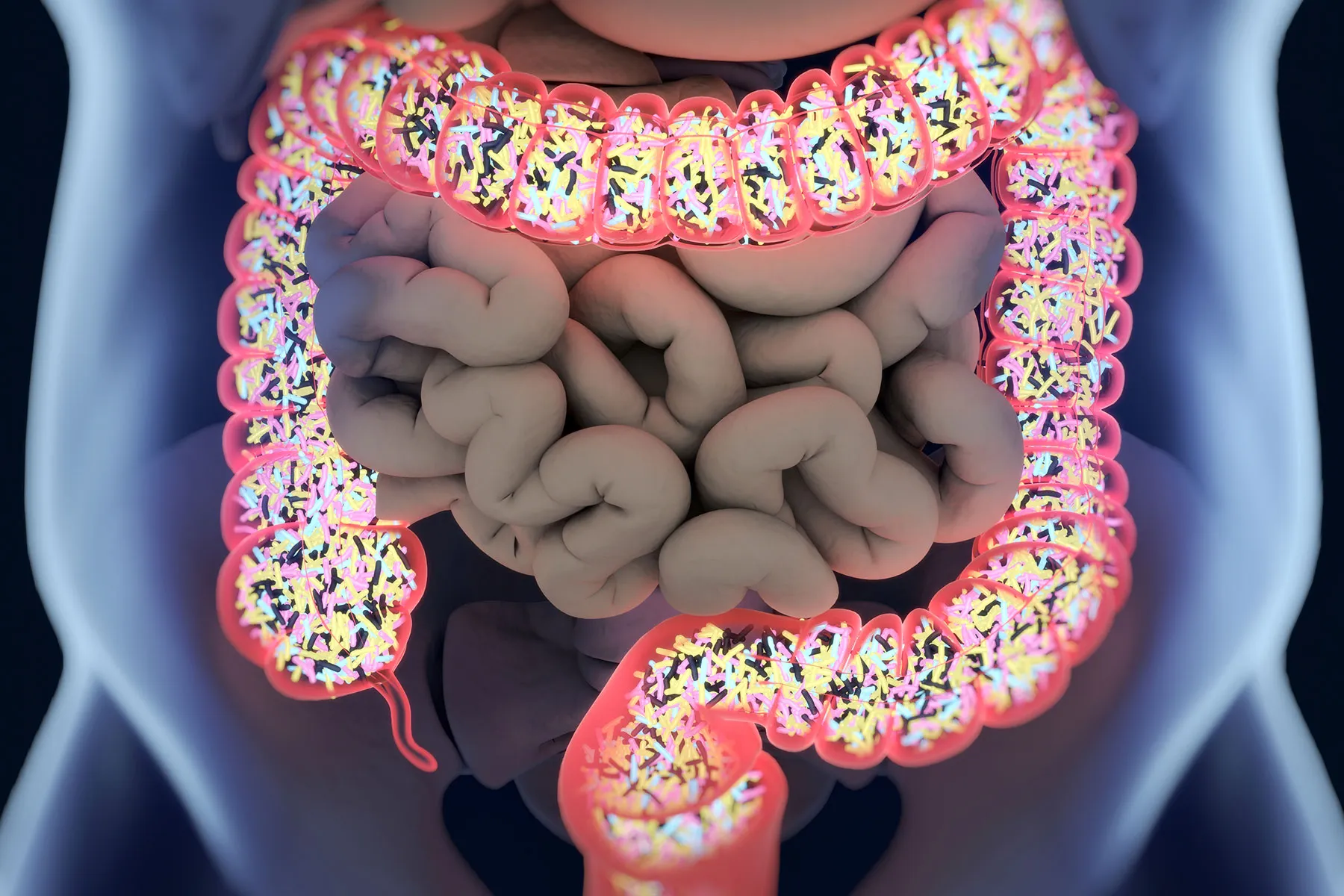 Focusing on Gut Health Can Aid Weight Loss