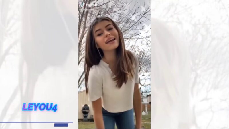 The Best TikTok Compilation of 2020 #the best tiktok dance