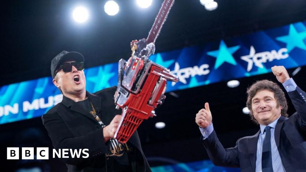 Musk wields his Doge chainsaw, but is a backlash brewing?