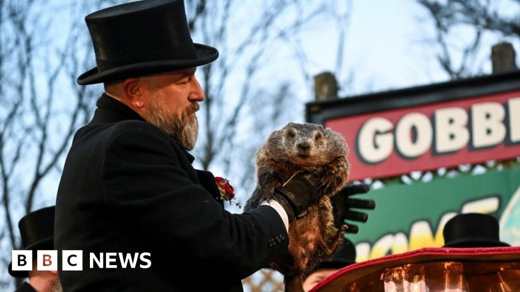 Punxsutawney Phil sees his own shadow