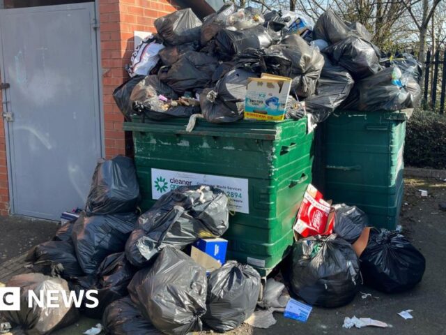 Birmingham bin strike brings out rats as indefinite walkout starts