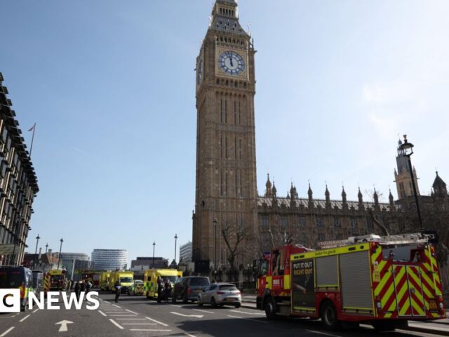 Man arrested after climbing Palace of Westminster