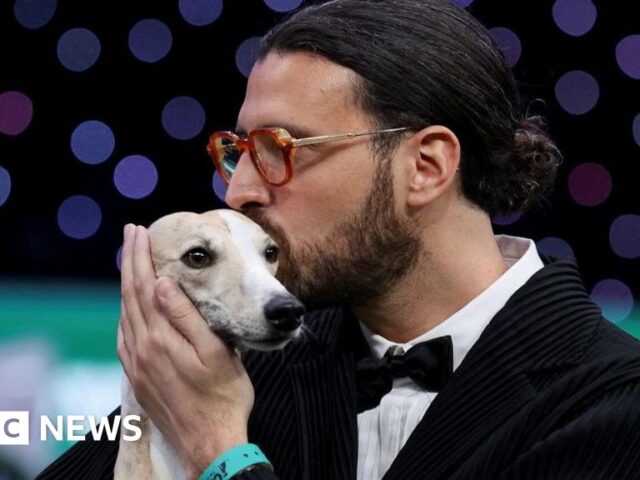 Whippet from Italy called Miuccia wins best in show