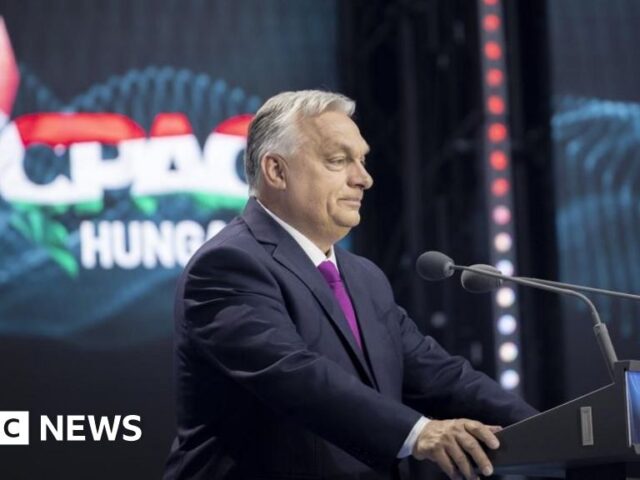 Europe’s US-backed conservatives hope this is their moment to go mainstream