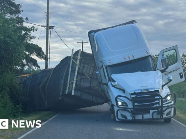 250 million honeybees escape overturned truck in US