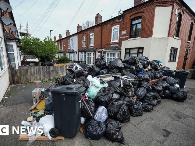 Birmingham bin collections not back to normal, politicians say