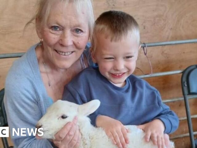 Boy, 4, hospitalised after visit to farm in Cowbridge