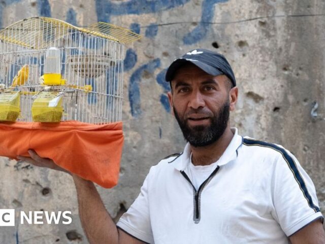 Overjoyed to return – but Syrians face daunting rebuild after years of war