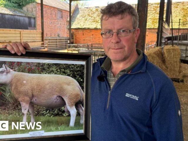 Polluted airport water ‘destroyed my unborn lambs’
