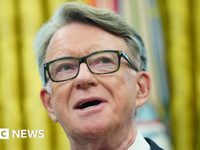 UK-US trade deal ‘platform for going further’, Mandelson says