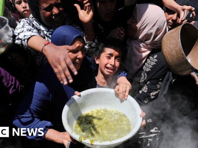 US confirms plan for private firms to deliver Gaza aid despite UN alarm