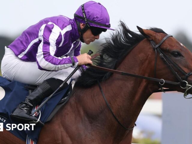 Epsom Derby 2025 runners & riders: Delacroix, Ruling Court among favourites – odds, draw, form, preview